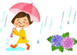 ついに梅雨入り☔🐸 アイキャッチ画像