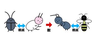 【シロアリ予防の重要性】 アイキャッチ画像