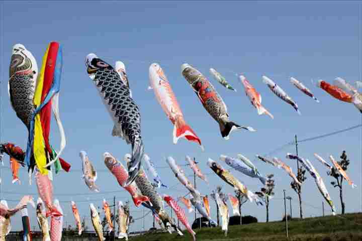 ゴールデンウィークはどのようにお過ごしになられたでしょうか・・・🎏 アイキャッチ画像