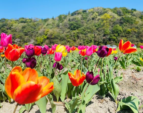 「室内で快適に過ごせるように！花粉対策　」 アイキャッチ画像