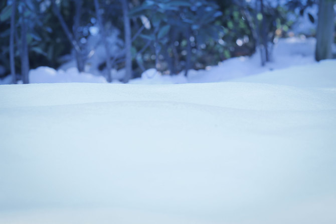 「大山も白く雪で覆われています👀！」 アイキャッチ画像